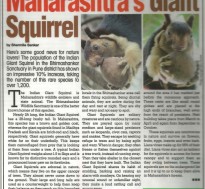 Shekroo is Maharashtra’s Giant Squirrel