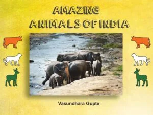 Amazing Animals of India